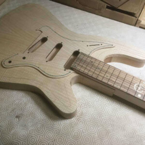 Guitare_BFG_Electrique_SV-5