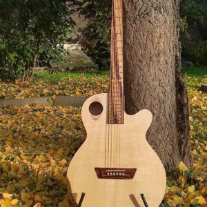 Guitare_BFG_JFP-accoustique-luthier-Bois-et-ames-3