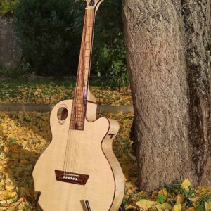 Guitare_BFG_JFP-accoustique-luthier-Bois-et-ames-5